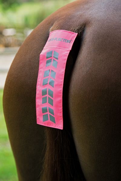 Hovedbilde ARMA EQUI-FLECTOR® ...