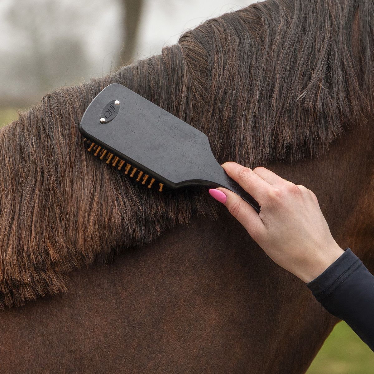 Royal Grooming Set – luksus børstesett til hest
