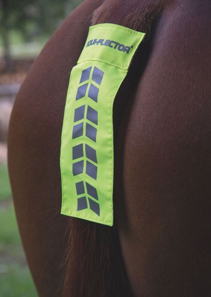 Hovedbilde ARMA EQUI-FLECTOR® ...