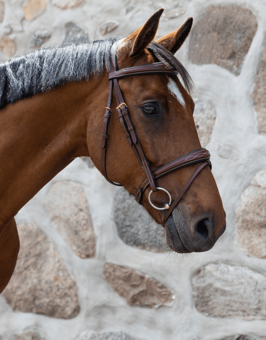 Hovedbilde Jacson Milano Aachen hodelag