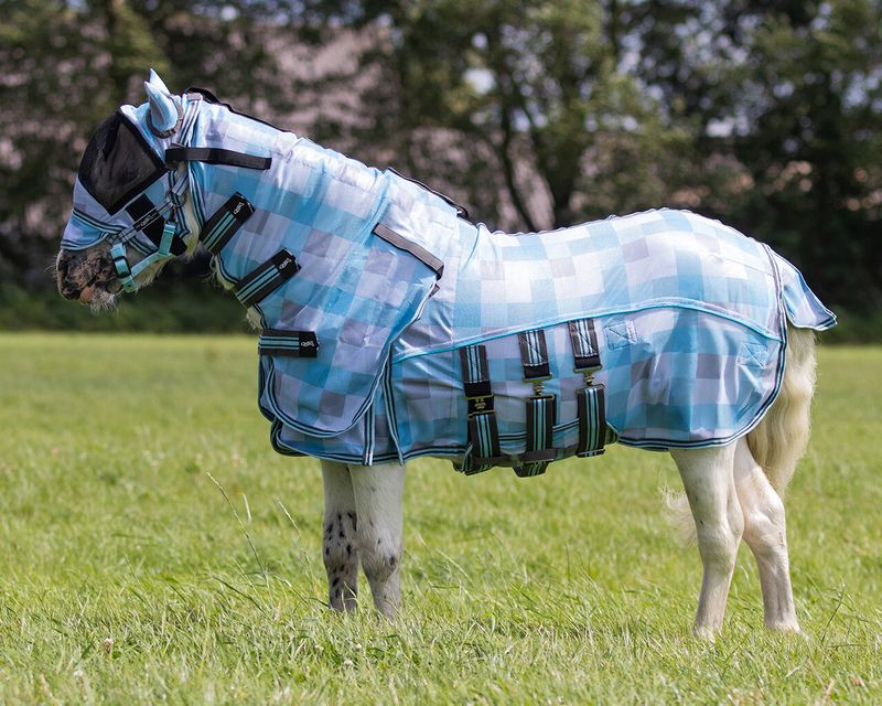 Fluedekken Minishetland / Falabella