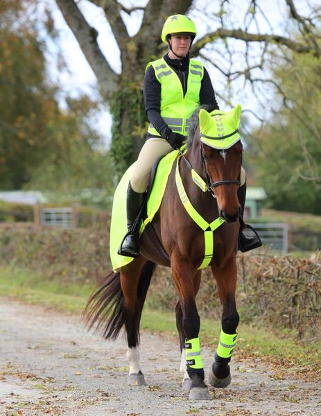 Hovedbilde ARMA EQUI-FLECTOR® ...