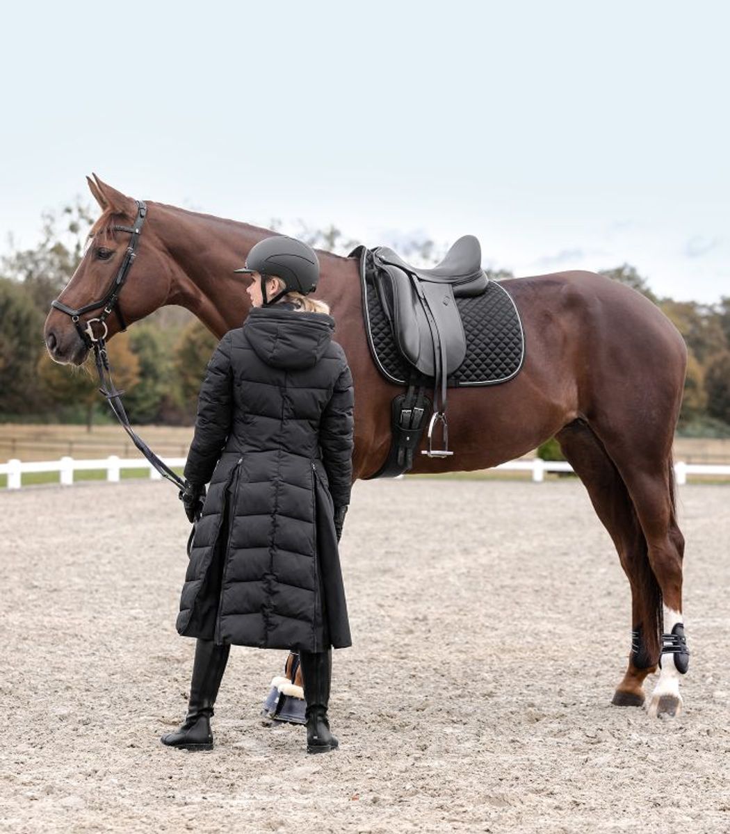 Glam Dressur Schabrak 