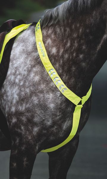 Hovedbilde ARMA EQUI-FLECTOR® ...
