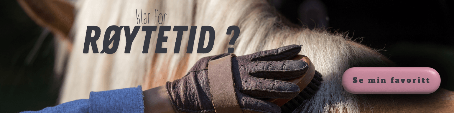 røyting, pelsstell, hest som røyter, røytebørste,røytetid