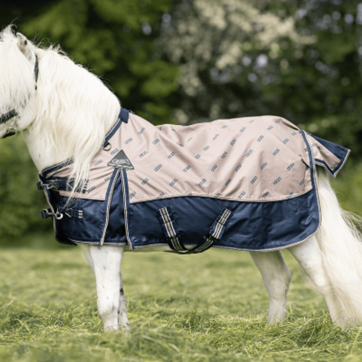 Turnout brun /navy Festival 0g minishetland / Falabella