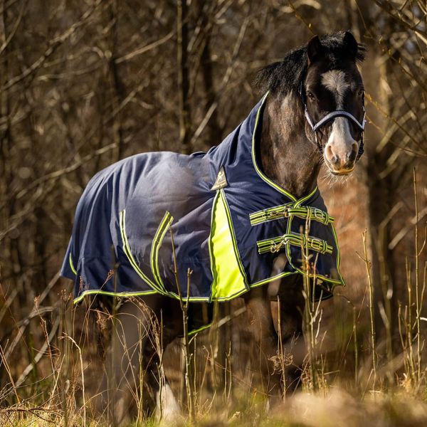 Hovedbilde Globus  200g Ponni Regn / ...